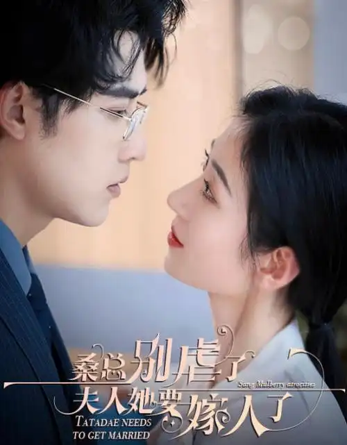 长夜将明热播电视剧全集在线观看